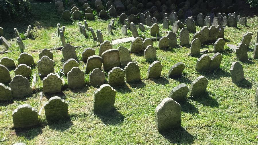 Como explicar para crianças a morte do animal de estimação? - inspiração 1