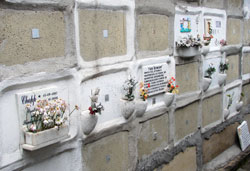 Como explicar para crianças a morte do animal de estimação? - inspiração 2