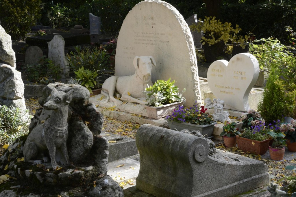 Buscar apoio profissional: Terapia pode ser um caminho para o bem-estar. - inspiração 1