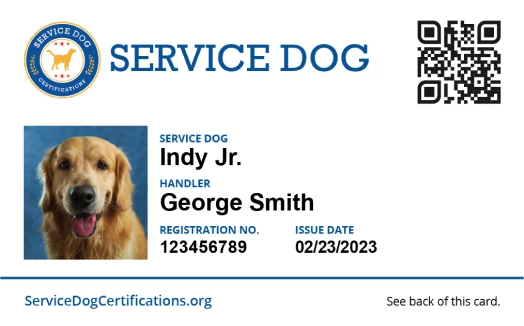 Entenda os Tipos de Cães de Serviço e suas Funções - inspiração 1