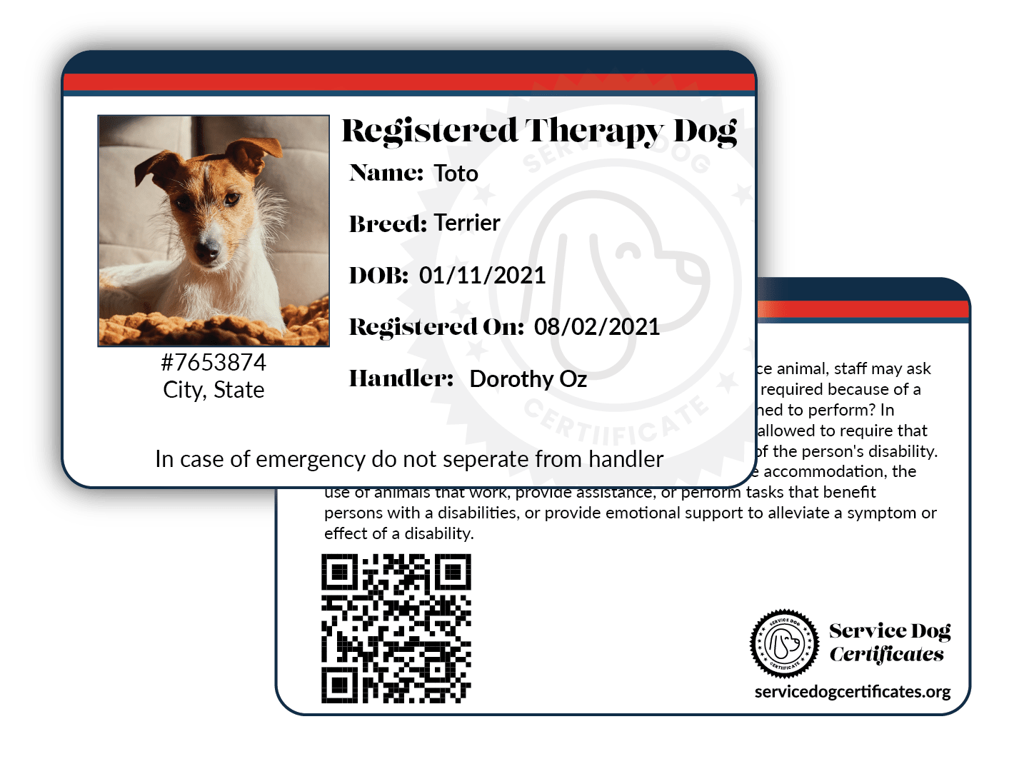 Entenda os Tipos de Cães de Serviço e suas Funções - inspiração 2