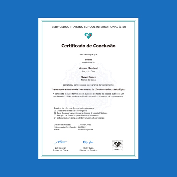 Avalie se o seu Cão Possui o Temperamento Ideal - inspiração 1