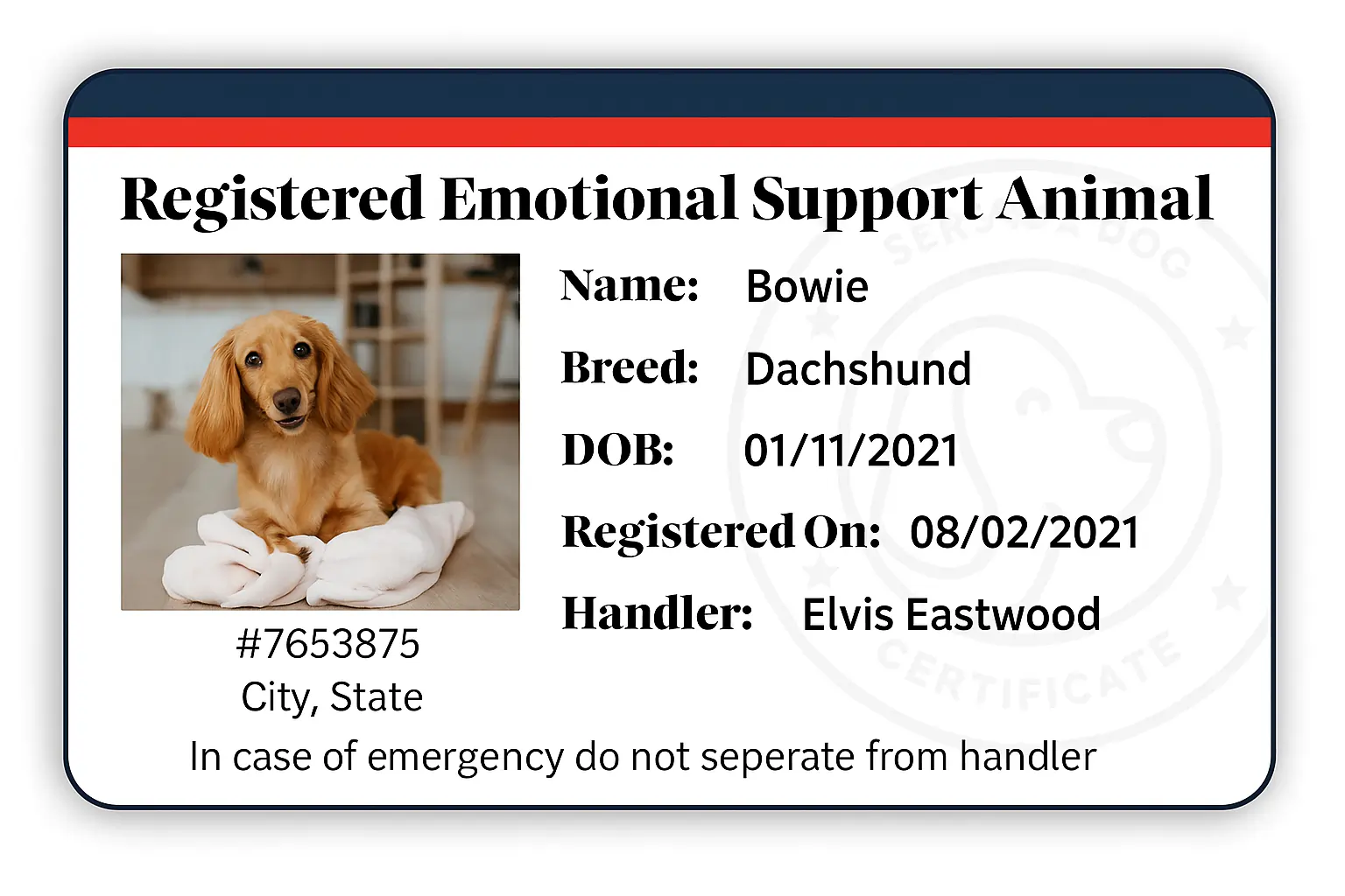 Avalie se o seu Cão Possui o Temperamento Ideal - inspiração 2