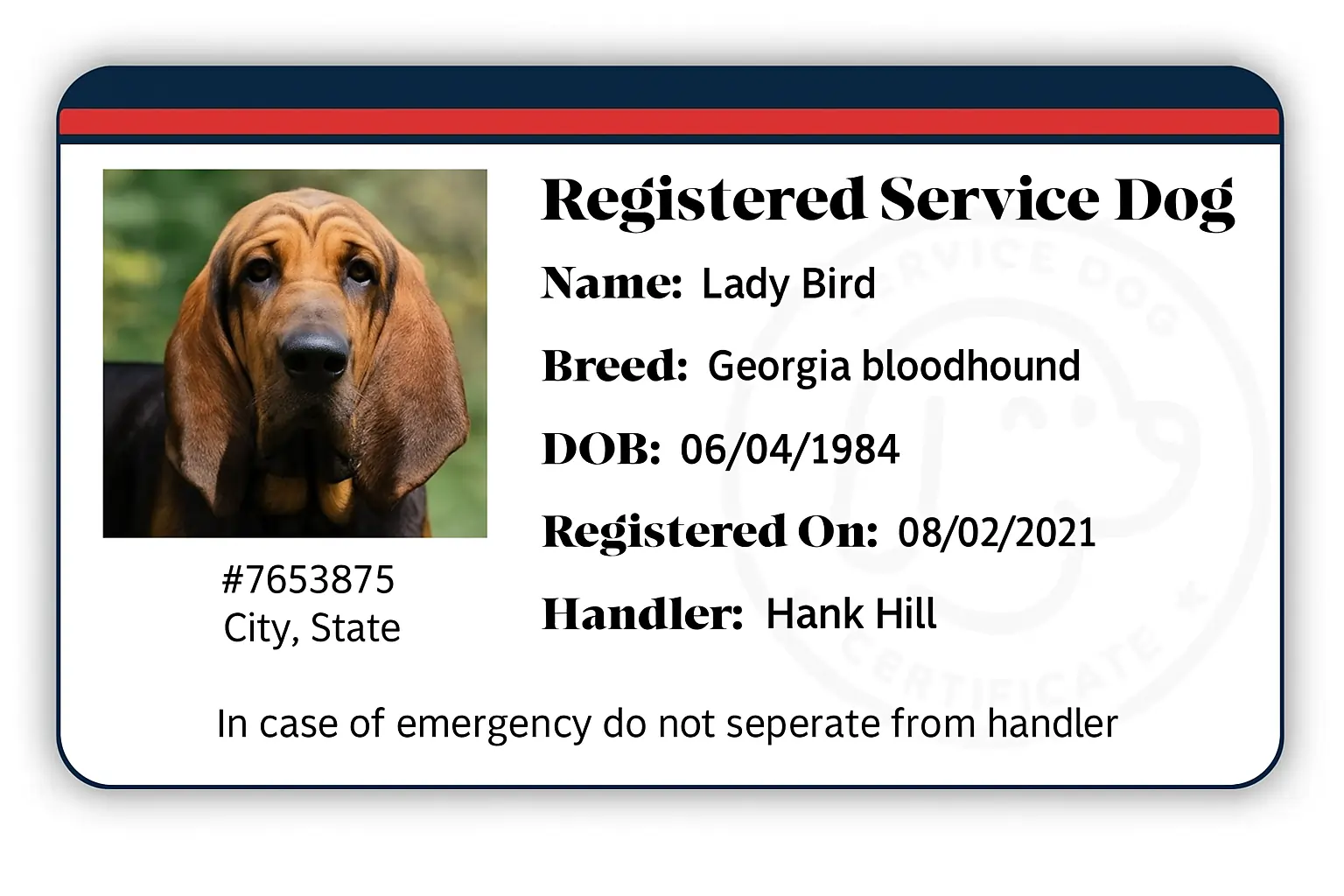 Treinamento Básico Essencial: O Alicerce para o Sucesso - inspiração 1