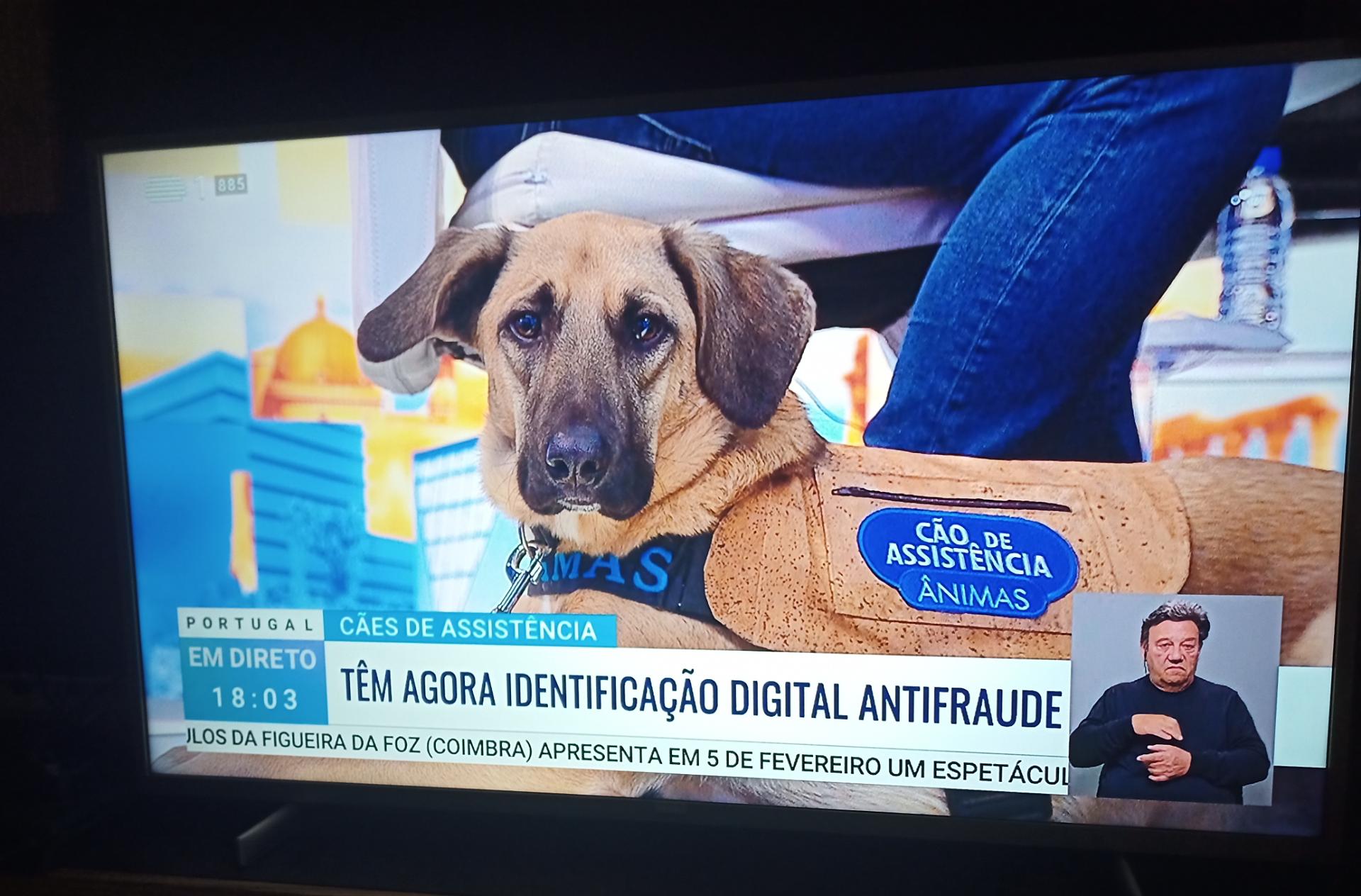 Treinamento Básico Essencial: O Alicerce para o Sucesso - inspiração 2