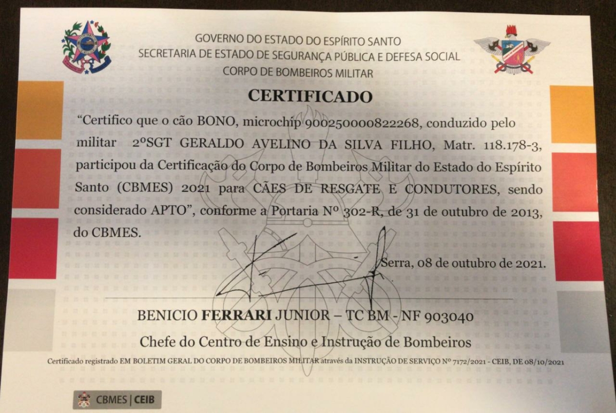 A Avaliação de Habilidade: O Que Esperar no Dia D - inspiração 2