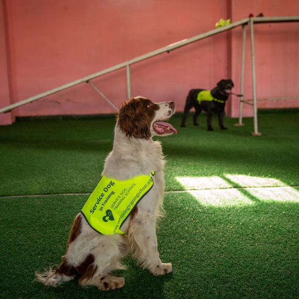 Manutenção do Treinamento: Como Manter as Habilidades Afiadas - inspiração 1