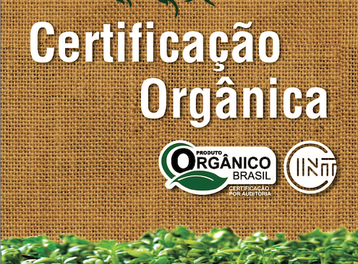 Desvendando os Selos: Como Identificar a Autenticidade da Certificação - inspiração 1