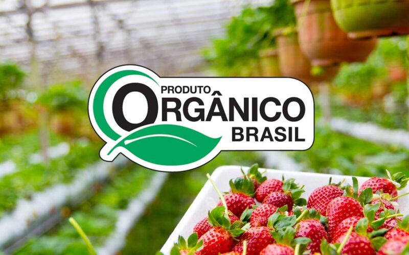 Por Que a Certificação Orgânica Faz Toda a Diferença na Sua Mesa? - inspiração 1