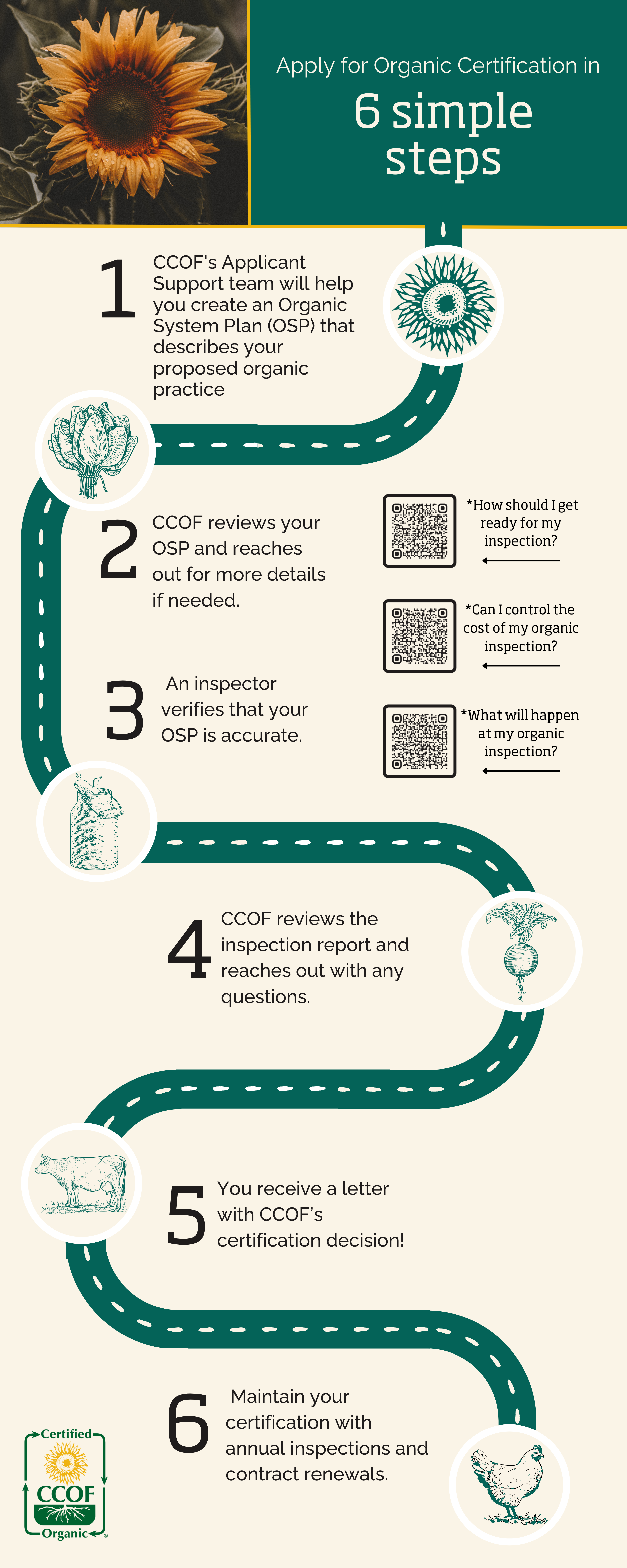 O Processo de Certificação Orgânica: O Que Acontece nos Bastidores? - inspiração 1