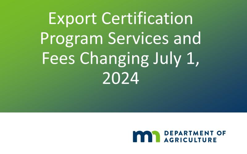 Busque Apoio: Órgãos e Consultorias Que Podem Ajudar - inspiração 1