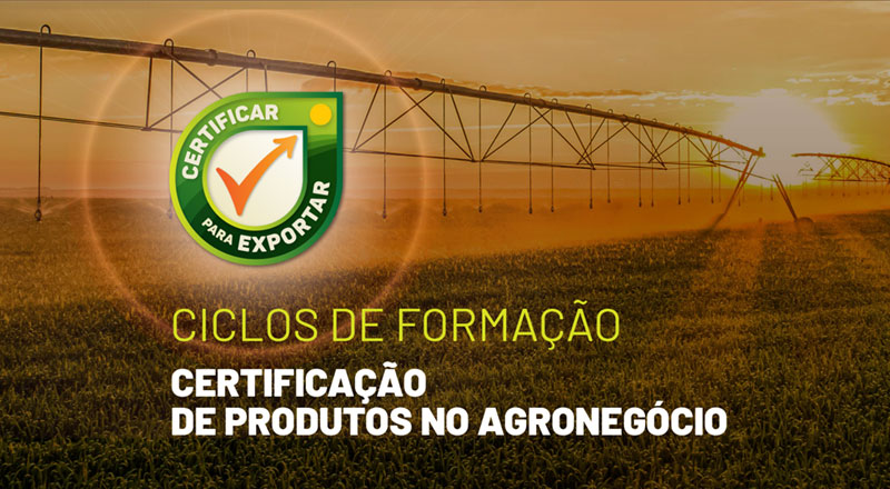 Documentação Essencial: O Que Você Precisa Separar - inspiração 1