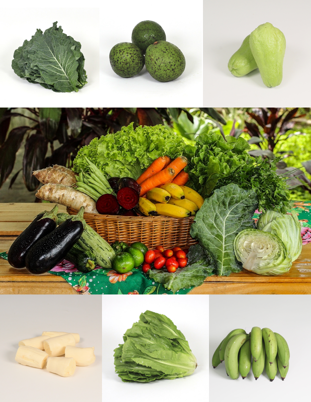 Delícias Extras: Mel, Geleias e Outros Tesouros Locais - inspiração 1