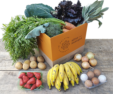 Frutas da Estação: Sabores Vibrantes Que Alegram o Dia - inspiração 2