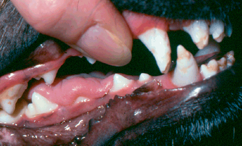 Os primeiros sintomas que você pode não notar - inspiração 1