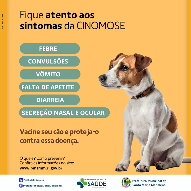 Os primeiros sintomas que você pode não notar - inspiração 2