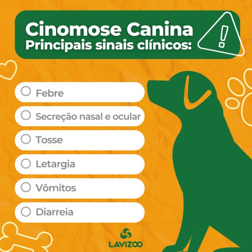 A importância da vacinação como escudo principal - inspiração 1