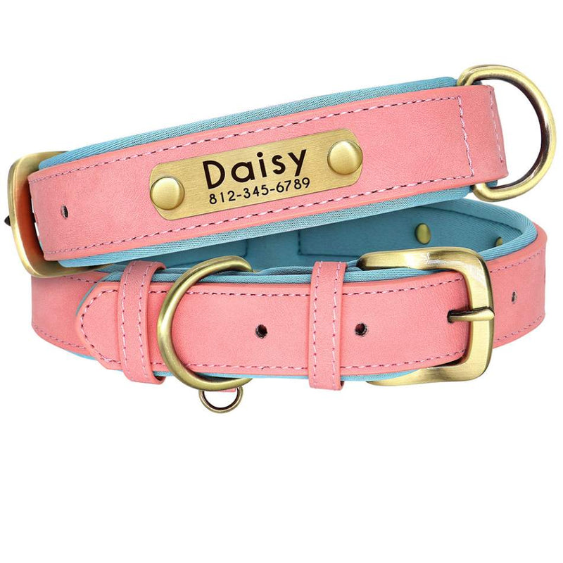 A Importância da Coleira na Prevenção de Perdas - inspiração 2