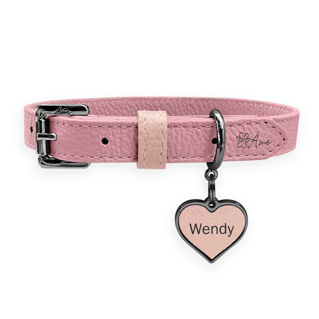 O Tamanho Certo: Conforto e Segurança Garantidos - inspiração 1