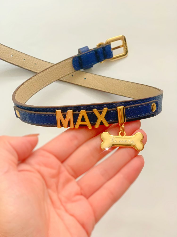 Quando Trocar a Coleira: Sinais de Desgaste e Necessidade - inspiração 1