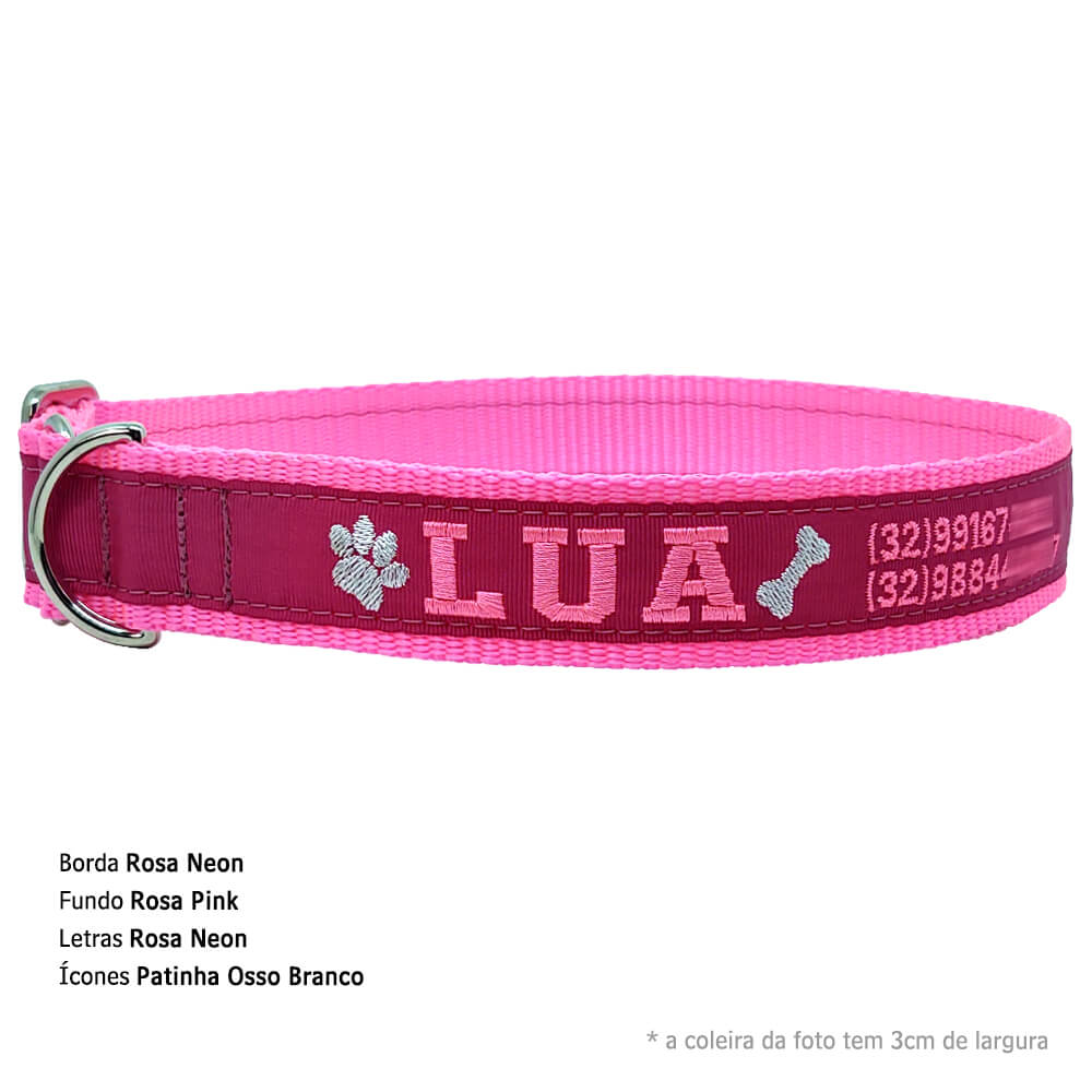 Quando Trocar a Coleira: Sinais de Desgaste e Necessidade - inspiração 2