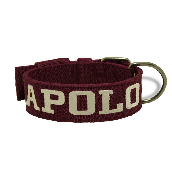 Alternativas Criativas para a Identificação do Pet - inspiração 1