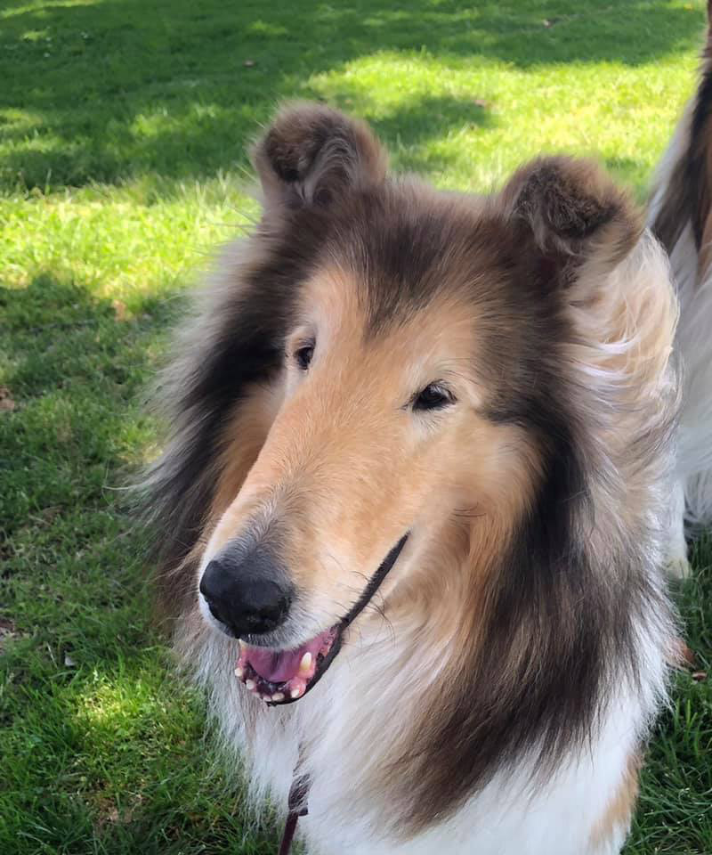 Orelhas Limpas: Evitando Infecções Comuns - inspiração 1