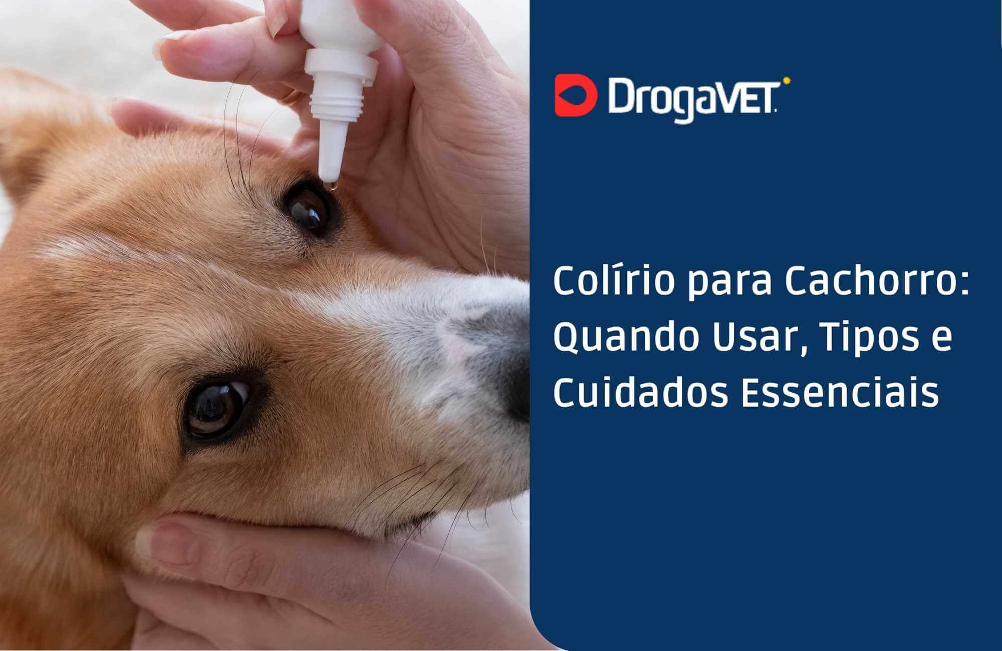Como aplicar o colírio corretamente no seu pet: passo a passo prático. - inspiração 2