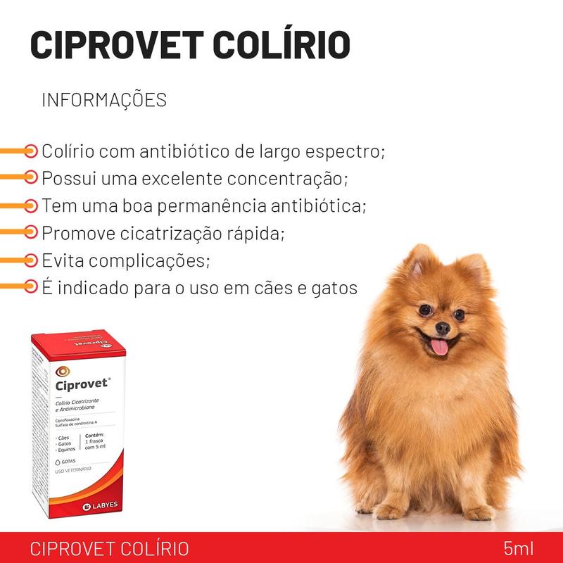 A importância da prescrição veterinária na escolha do colírio. - inspiração 1