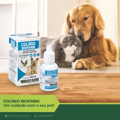 A importância da prescrição veterinária na escolha do colírio. - inspiração 2