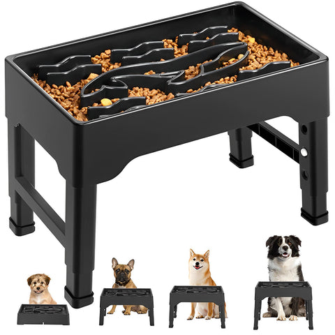 Quando Procurar Ajuda Profissional para a Alimentação do Cão? - inspiração 1