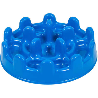 Os Benefícios Tangíveis do Comedouro Lento - inspiração 2