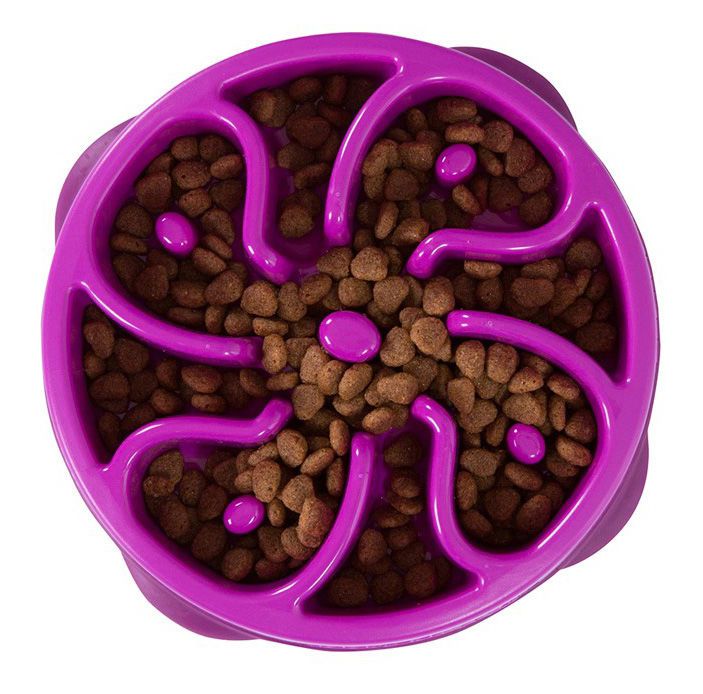 Qual o Tipo Certo de Comedouro Lento para o Meu Cão? - inspiração 1