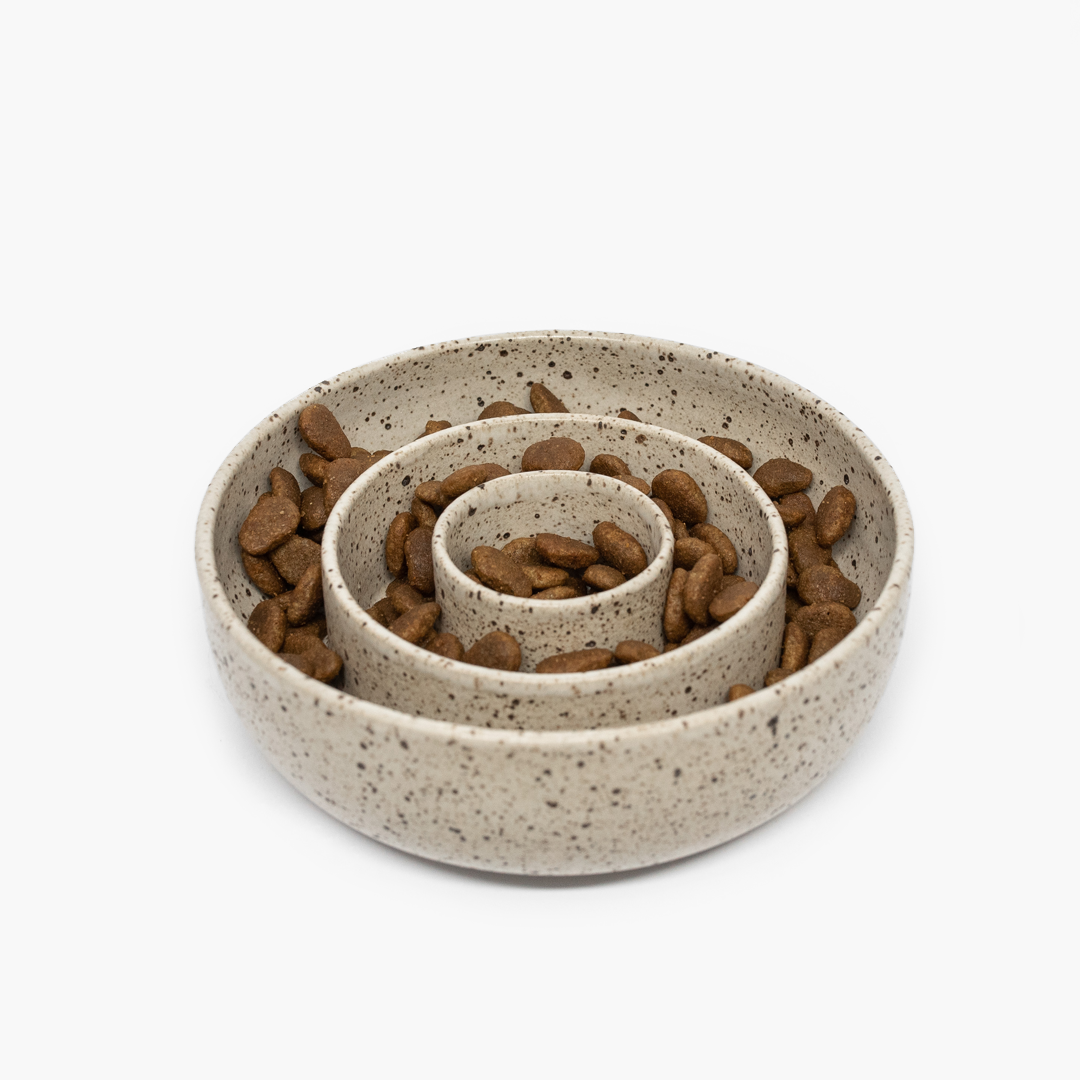 Como Introduzir o Comedouro Lento na Rotina Diária - inspiração 2