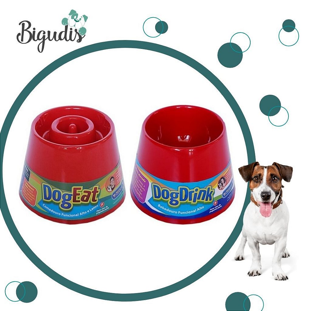 Dicas Práticas para Estimular o Interesse do Cão - inspiração 1