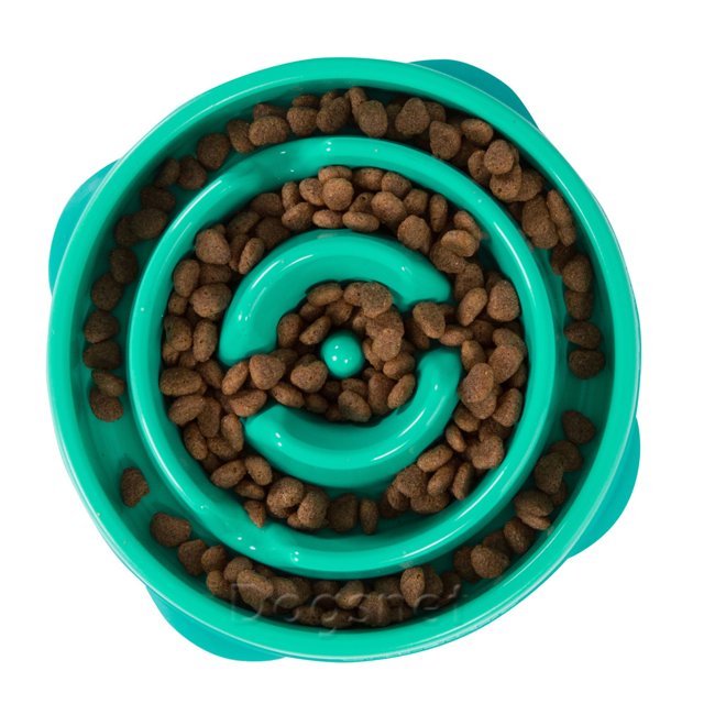 Dicas Práticas para Estimular o Interesse do Cão - inspiração 2