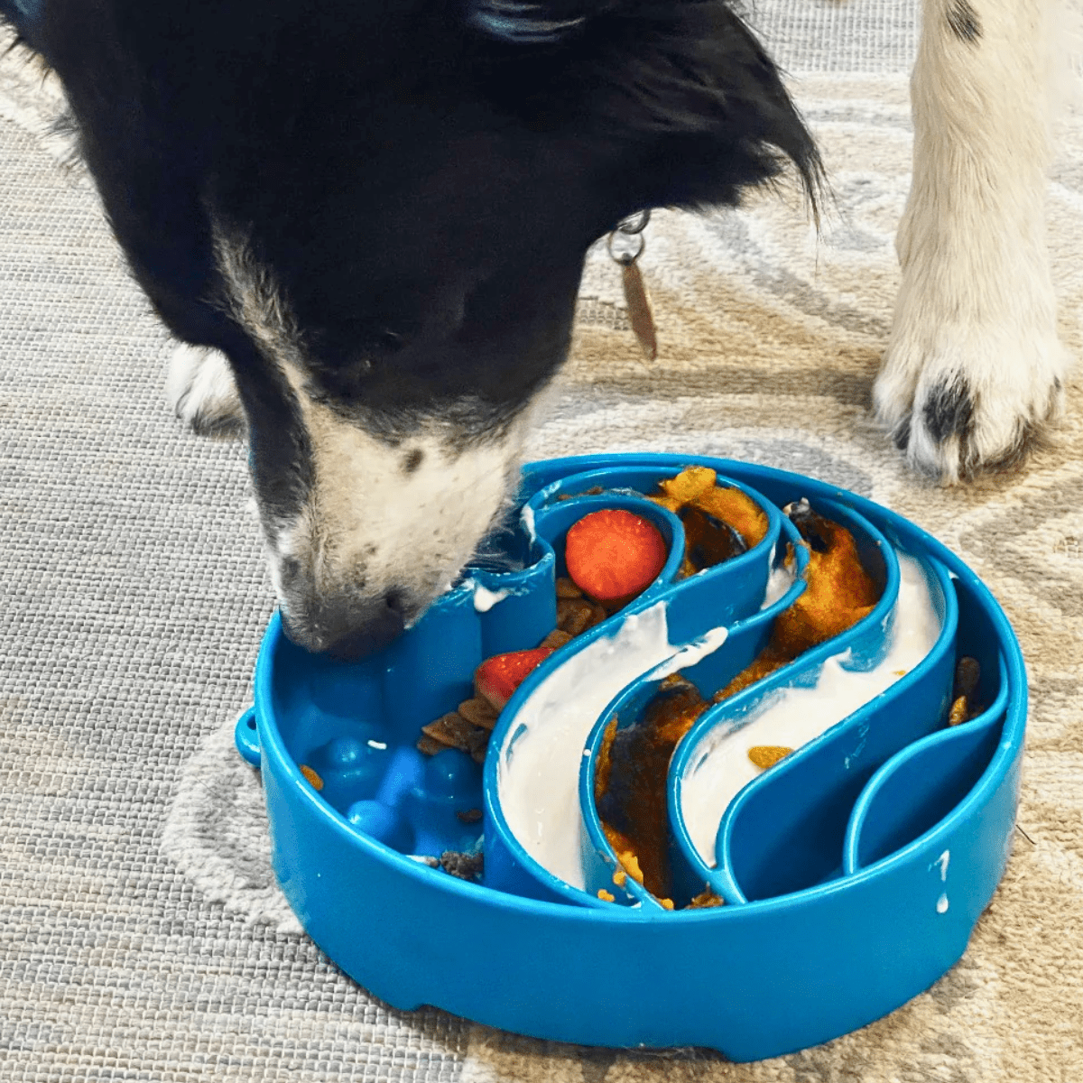 Comedouro Lento e Adestramento: Uma Dupla Poderosa - inspiração 1