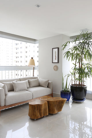 Testando Antes de Decidir: Simulações e Amostras para Evitar Erros - inspiração 2