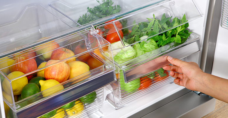 Masterizando a Conservação de Folhas: Alface, Rúcula e Couve