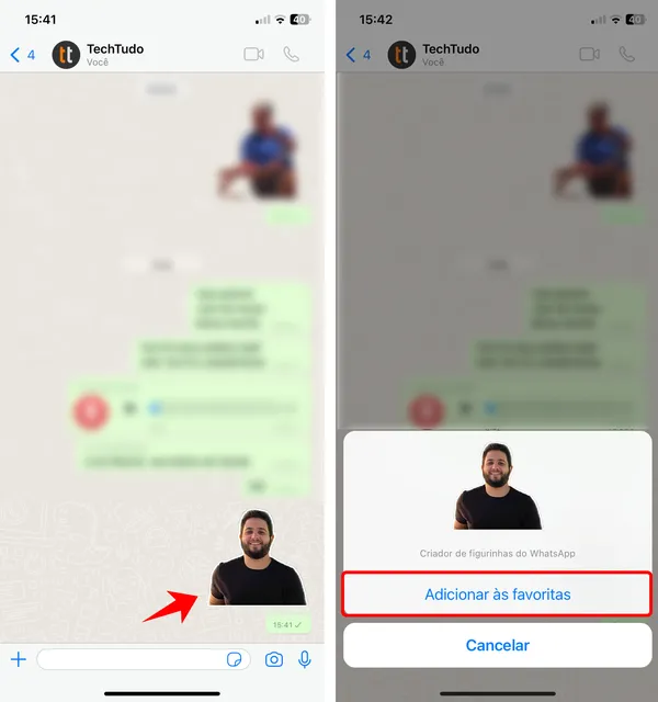Transforme Suas Fotos em Arte Para Figurinhas - inspiração 2