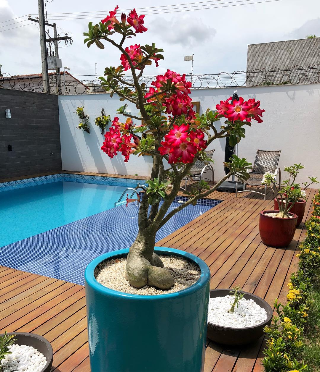 Identificando e Corrigindo Problemas Comuns - inspiração 2