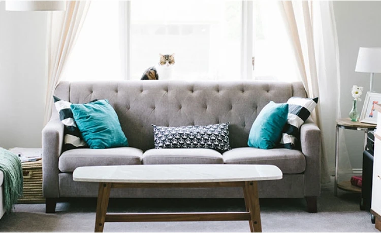 Experimente antes de comprar: Sinta o sofá como seu - inspiração 2