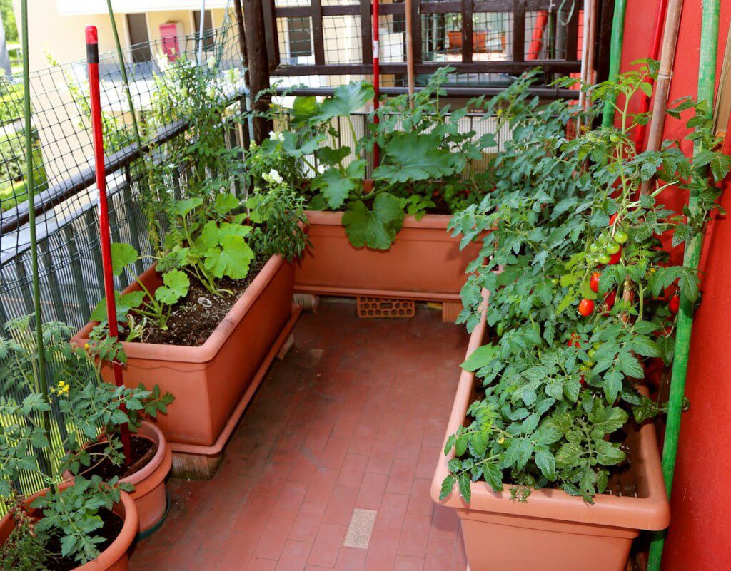 O Substrato Ideal: Uma Mistura Rica Que Nutre Suas Plantas Como na Natureza - inspiração 2