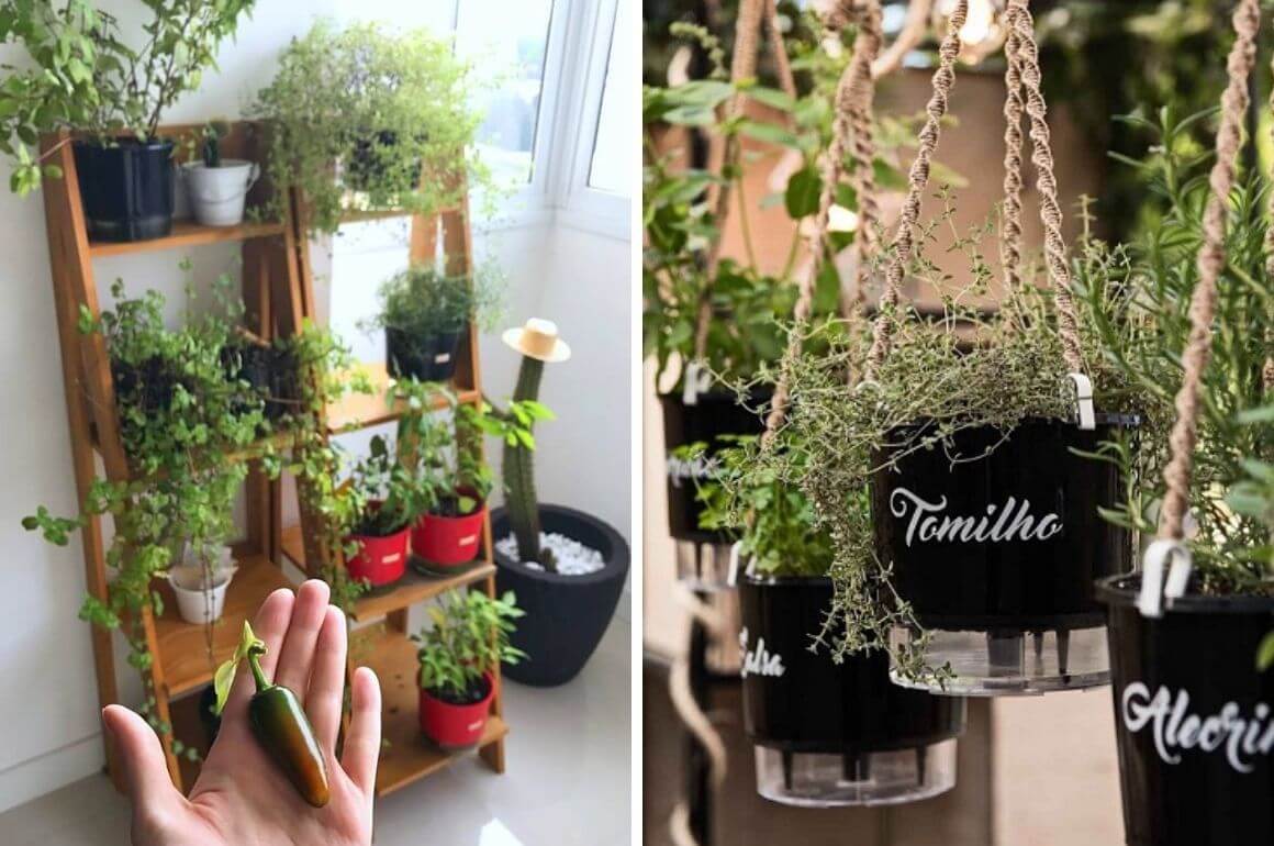 O Poder da Luz Solar: Onde Posicionar Sua Horta Para Máximo Rendimento - inspiração 1