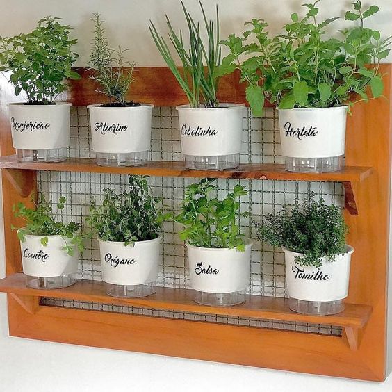 Rega Consciente: A Frequência Ideal Para Evitar o Excesso e a Falta de Água - inspiração 2