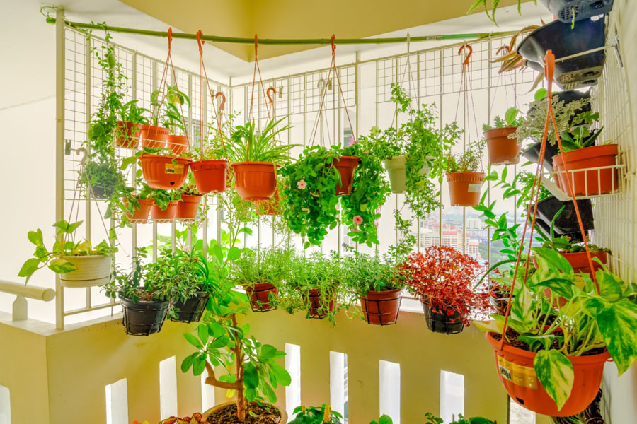 Adubação e Nutrição: Mantenha Suas Plantas Fortes e Produtivas Naturalmente - inspiração 1