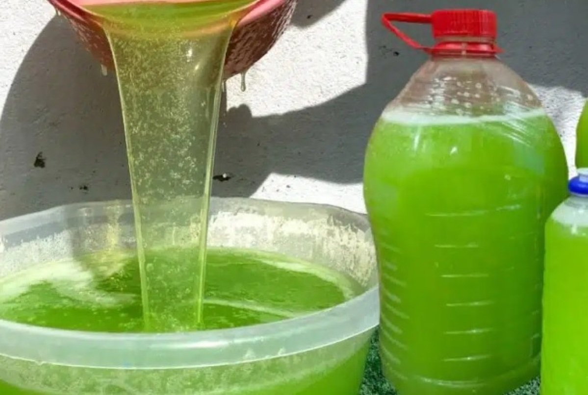 Água Morna: A Base que Potencializa a Ação dos Ingredientes - inspiração 1