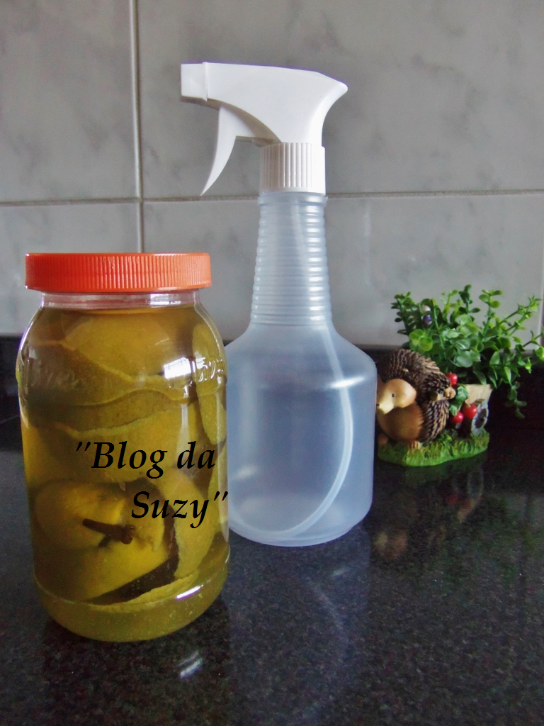 O Poder da Laranja: Óleo Essencial e Seu Aroma Revigorante - inspiração 2