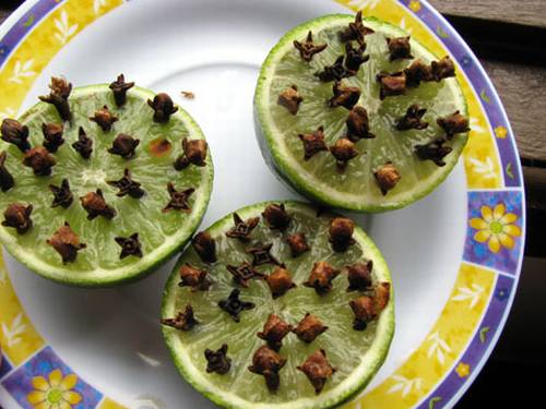 A Água como Aliada: Diluindo para uma Aplicação Suave e Refrescante - inspiração 2