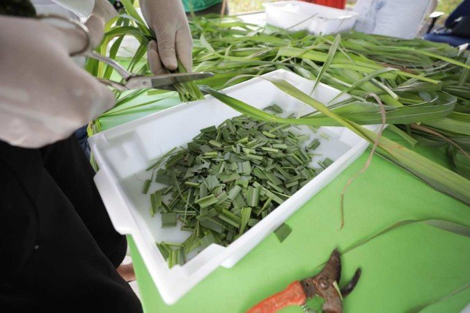 Teste de Alergia: Cuidando da Sua Pele Antes da Aplicação Geral - inspiração 2